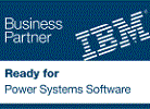 IBM Partner