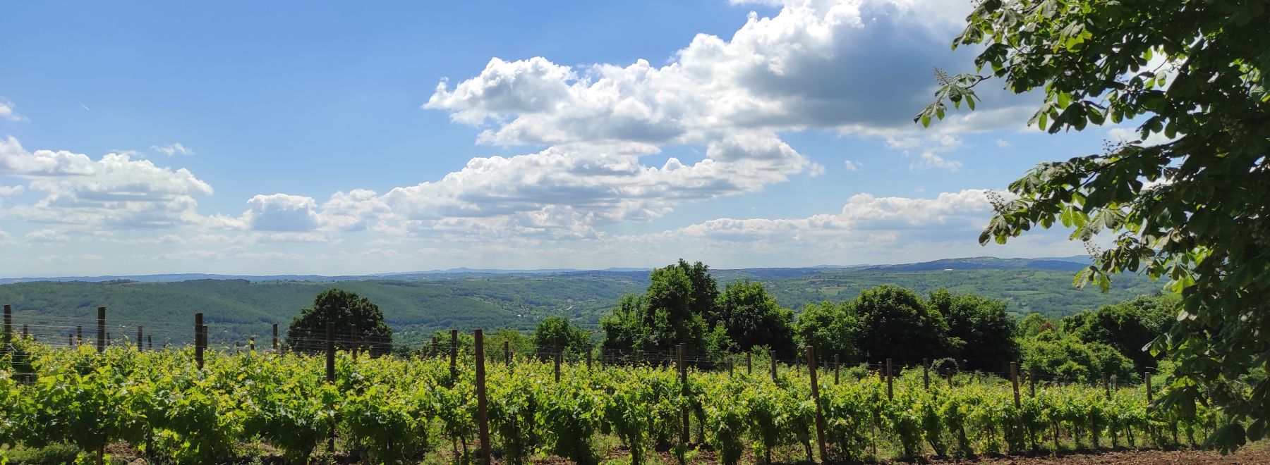 The beautiful and sunny landscape of serbien